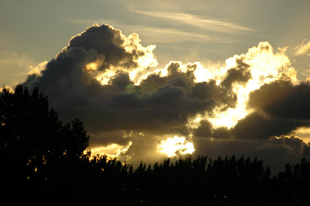 Backlight